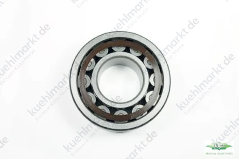 Bitzer Zylinder-Rollenlager 38620026