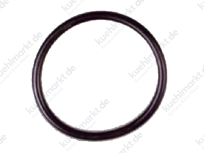 ESK O-Ring OR-33X2,62-P (Pack=10St)