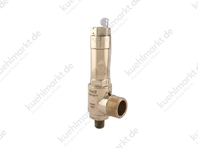 Castel Sicherheitsventil 3030E/46C600 60bar