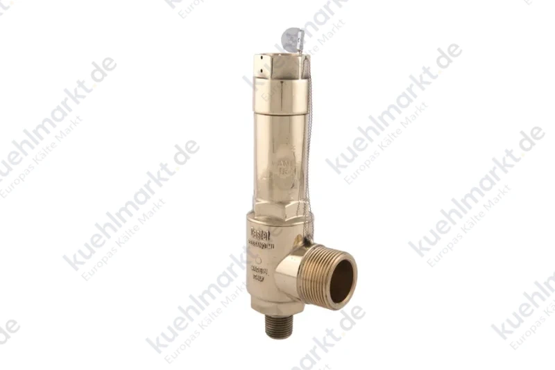 Castel Sicherheitsventil 3030E/46C600 60bar