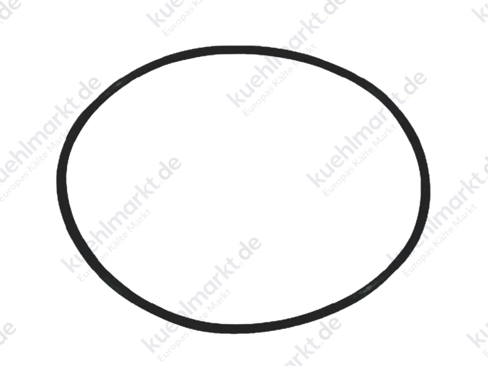 Bitzer O-Ring 37200119