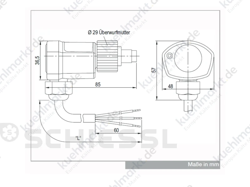 Bitzer Öldifferenzdruckschalter INT 250 30V reed 60bar Beipack