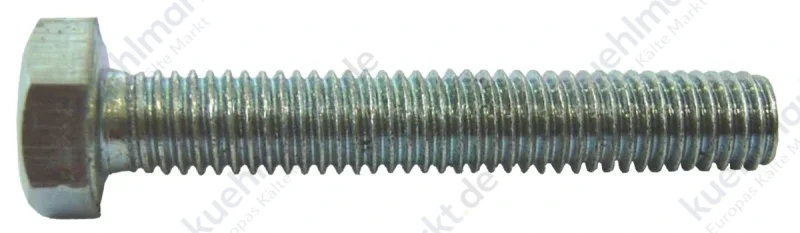 Bitzer Sechskantschraube 38005753