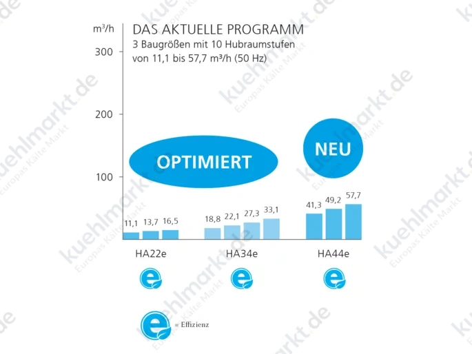 Bock Verdichter LR+DP vorgerüstet HAX44e/475-4 400V