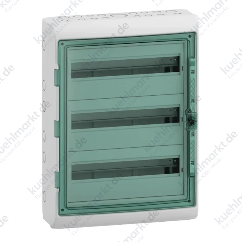 Schneider Schaltschrank 54 Module IP65 transparente Tür 10345