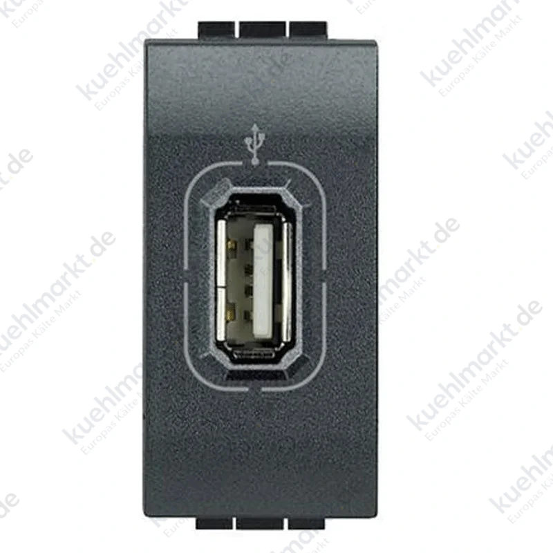 Bticino Livinglight USB-Datenstecker L4285