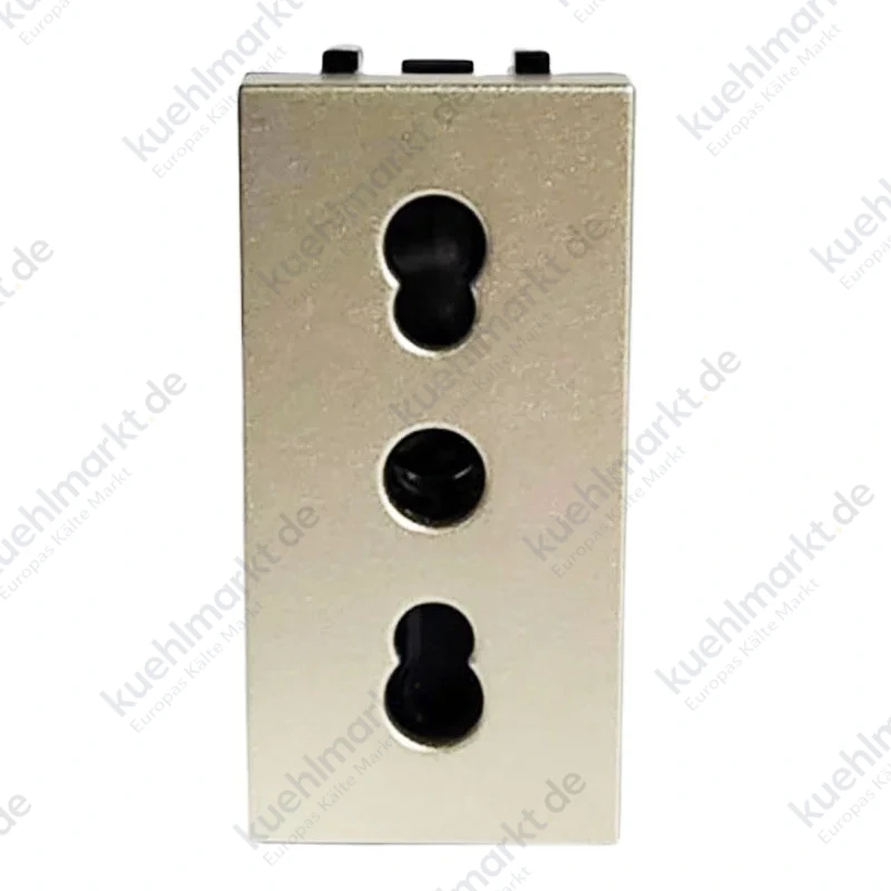 Abb Zenit zweipolige Steckdose N2133 CV 10/16A 1 Modul Champagner Z1103CV