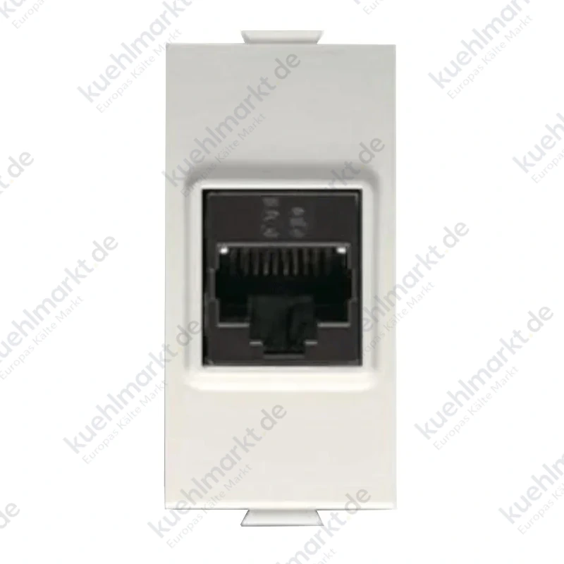 Abbara Klarer RJ45 CAT 6 UTP Stecker 2CSK1127CH