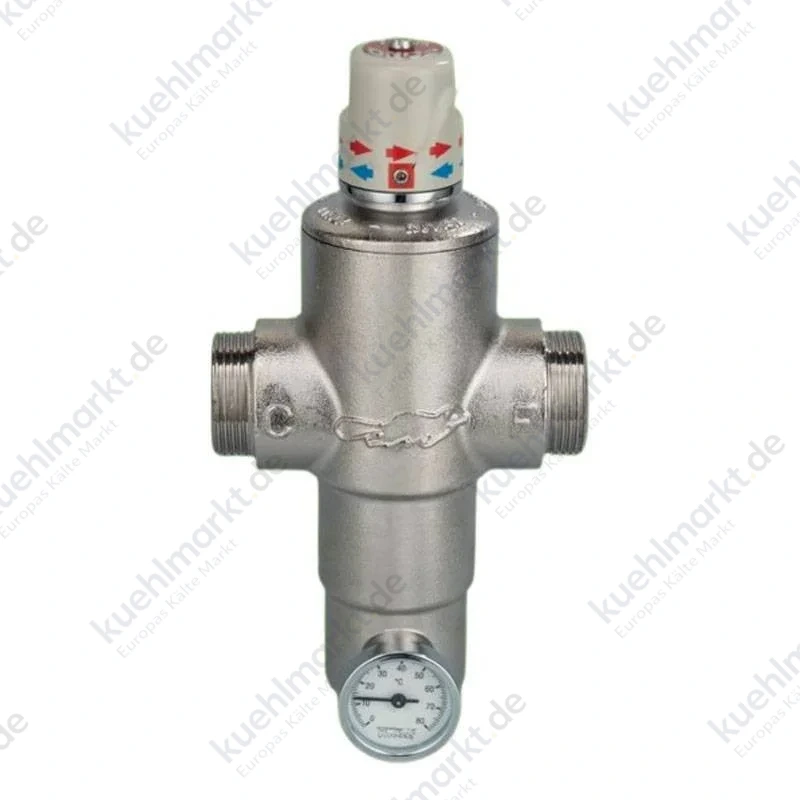 River Ecosan Thermostatmischer mit Verbrühungsschutz 2-Zoll RP306DN50