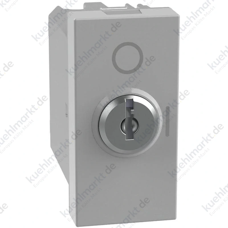 Bticino MatixGO Schlüsselschalter 2P 10AX 1 Modul grau JG4012