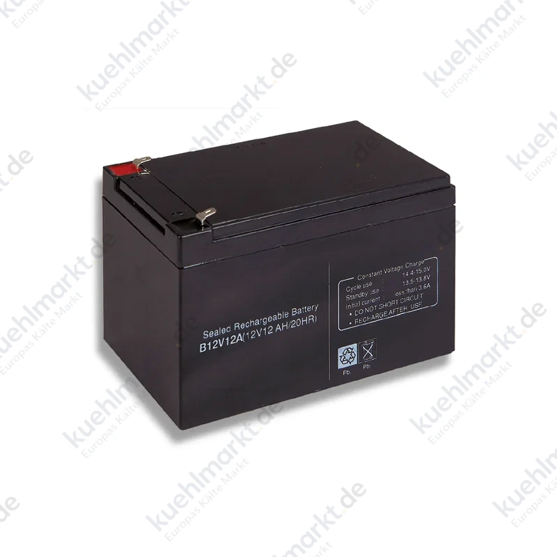 Hiltron Blei-Säure-Batterie 12V 12Ah Cobat enthalten B12V12A