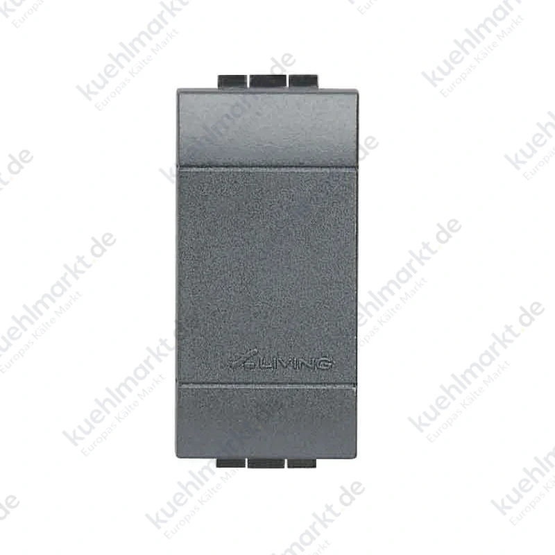Bticino Wohnraumleuchte Falso Modul L4950