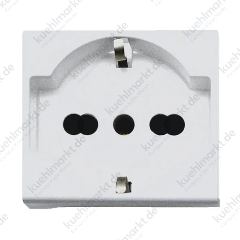 Ave RAL S45 2P+E 10/16A 2-modulige zweipolige Schuko-Steckdose 45590/15TS
