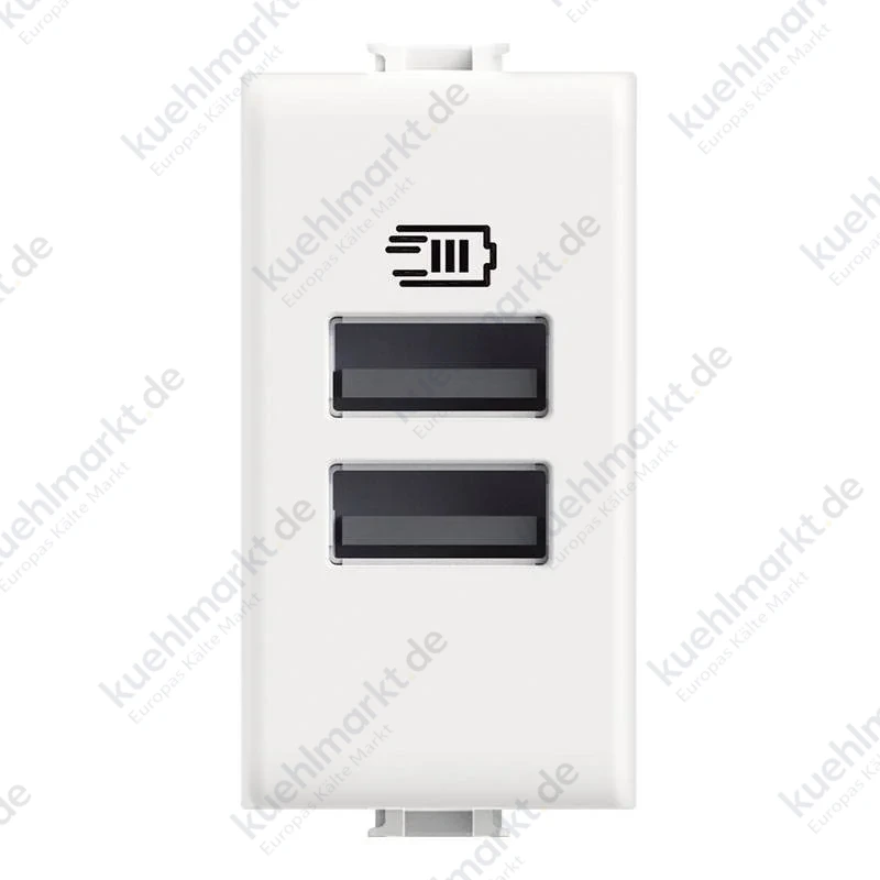 Bticino MATIX 15W USB-Steckdose mit 2 Anschlüssen Typ A AM4191AA