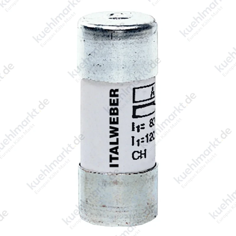 Zylindrische Sicherung Italweber 22 x 58 mm CH22 gG 125A 500V 1441100