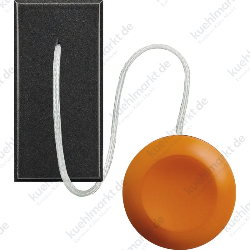 Bticino Axolute Zugtaster HS4033