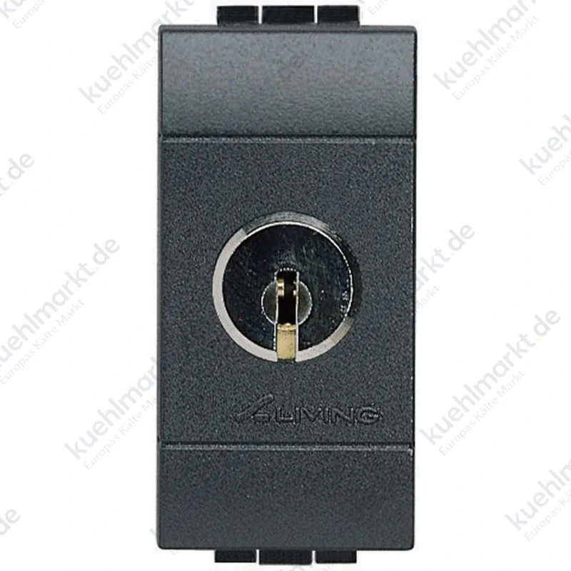 Bticino Wohnlichtschalter mit Schlüssel 16A L4012