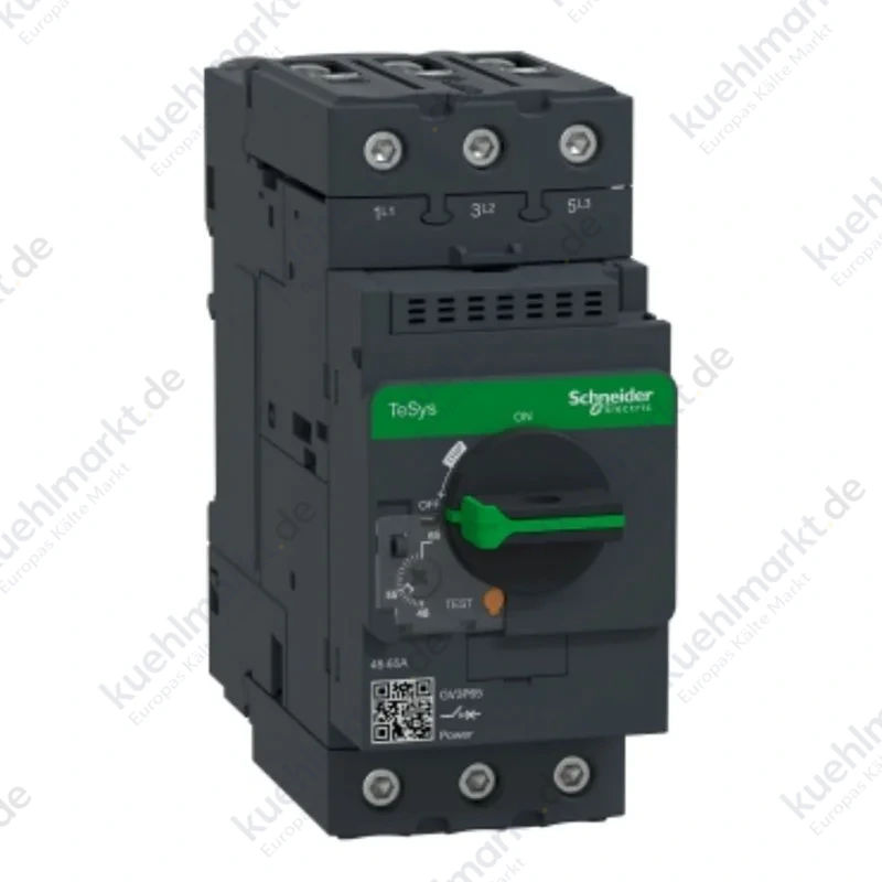 Telemecanique Leistungsschalter GV3P 48-65A 3P GV3P65