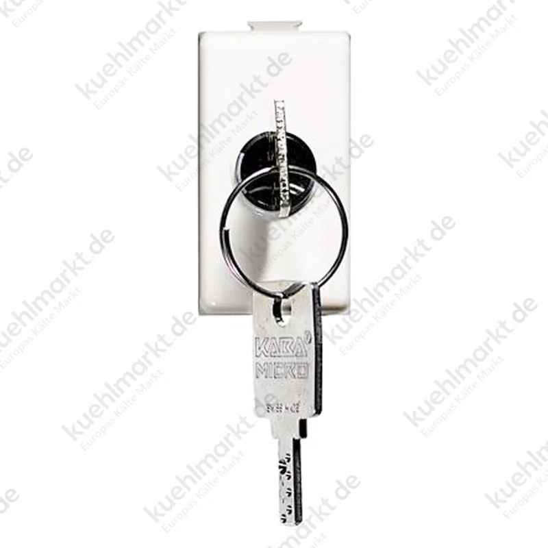 Bticino Matix Drehschalter mit Schlüssel 2P 10A NO AM5007P