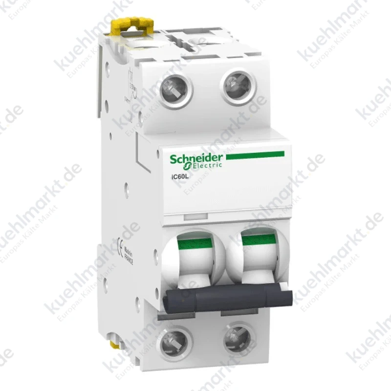 Motorschutzschalter Schneider 2P 10A 15KA C 2 module A9F94210