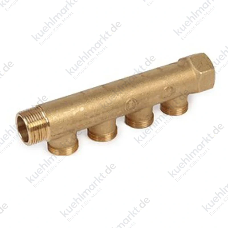Giacomini modularer Verteiler für Sanitäranlagen A/I 1 Zoll x 16 4 Anschlüsse R580CY044