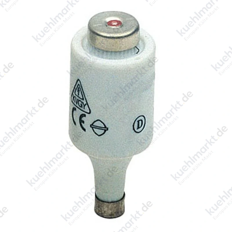 Wimex Sicherung DII F 2A 400/500V 22x50 mm 5300202