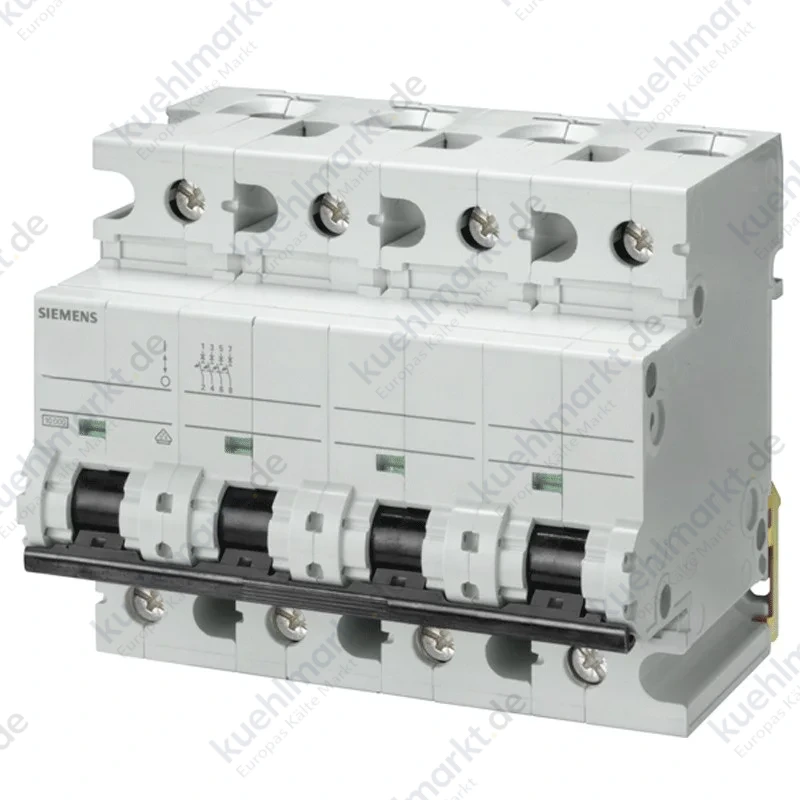 Leistungsschalter Siemens 4P 10kA 125A Typ C-6 Module
