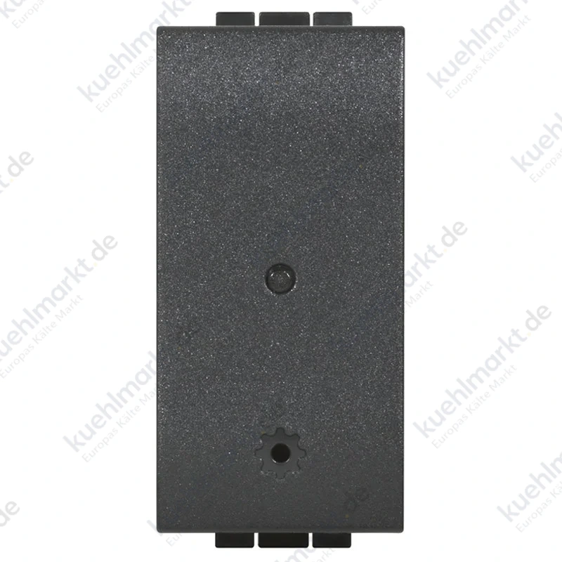 Bticino Living Light Angeschlossenes Modul für Steckdose Anthrazit L4531C