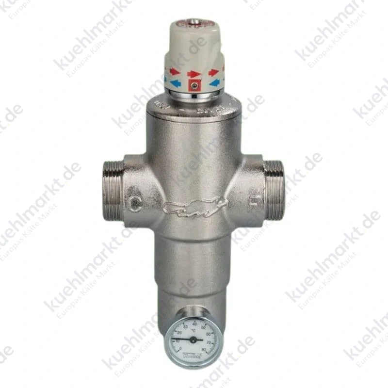 River Ecosan Thermostatmischer 1 Zoll RP303DN25