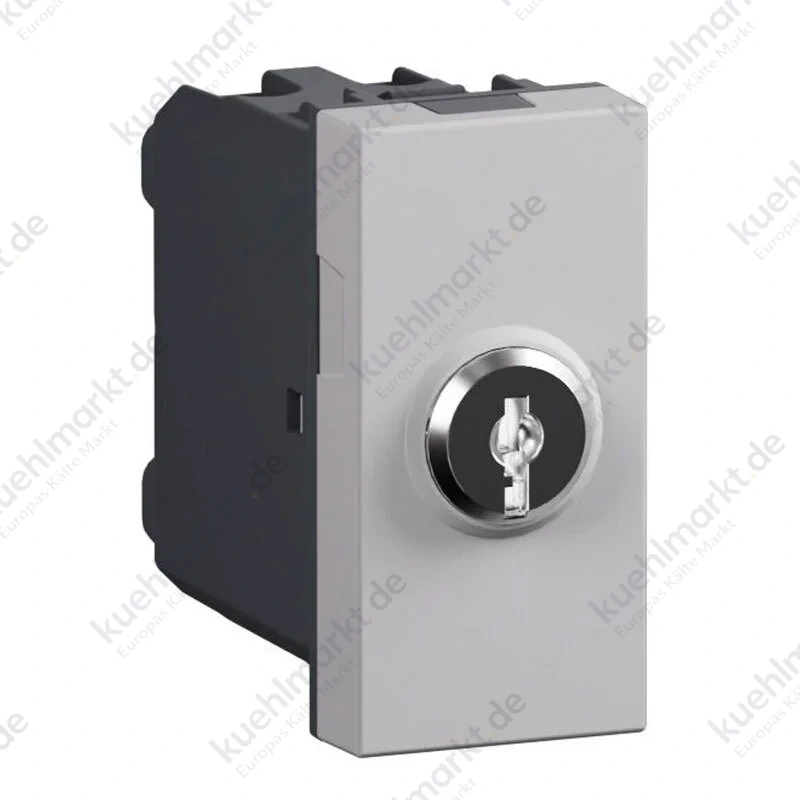 Bticino MatixGO Schlüsselschalter 2P 1 Modul grau JG4012OFF