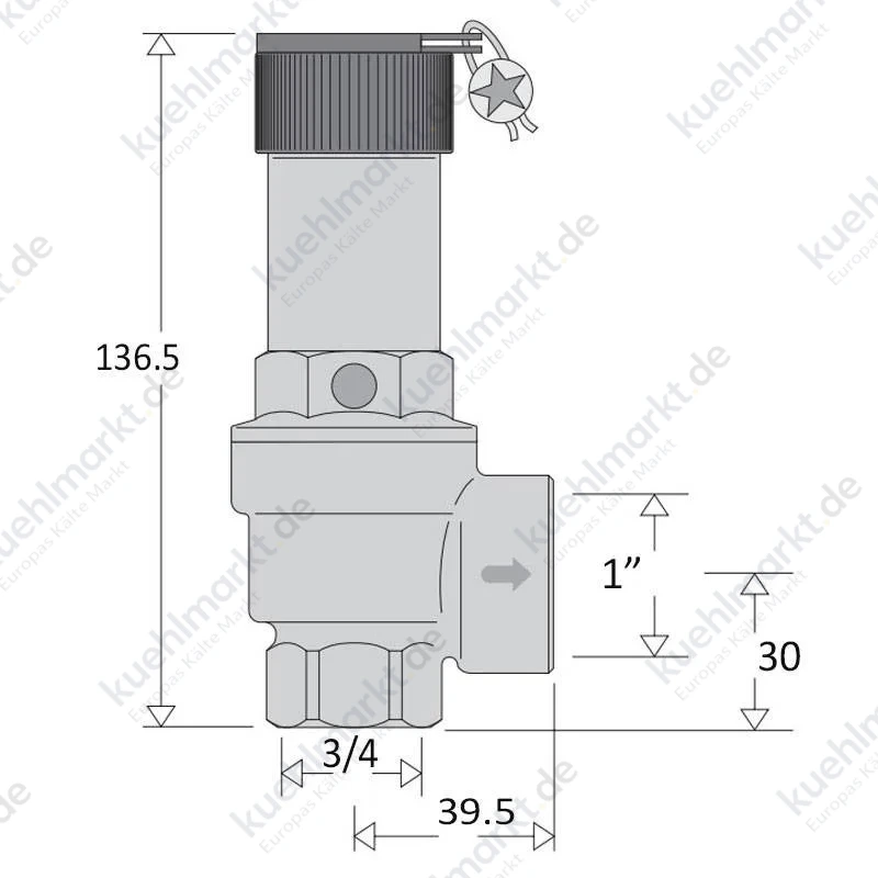 Caleffi Sicherheitsventil 527 zertifiziert und kalibriert 2,5 bar I 3/4 x 1 527525