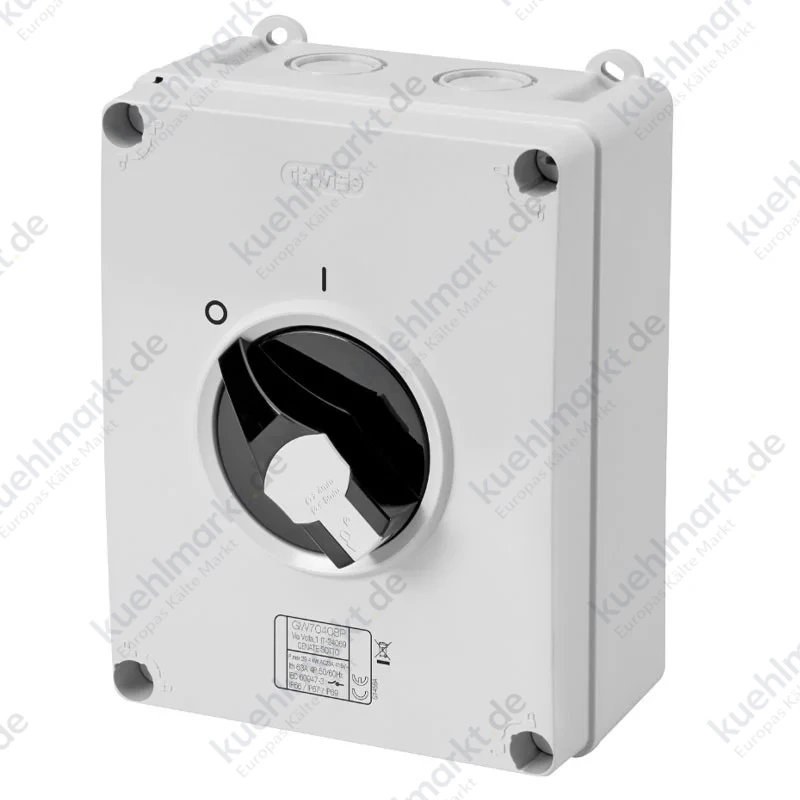 Gewiss HP 4X63A Drehbarer Wandschalter IP65 GW70408P